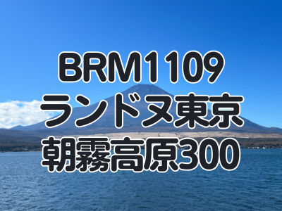 【ブルべ】BRM1109朝霧高原300を完走しました　その３