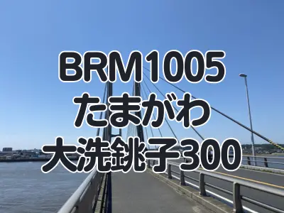 【ブルべ】BRM1005 たまがわ大洗銚子300試走　その３