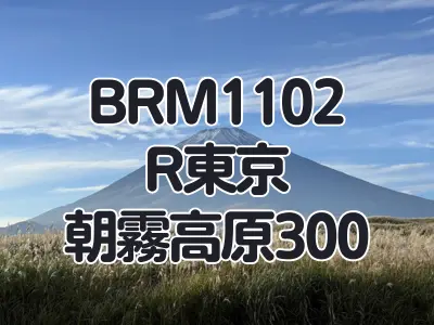【ブルべ】BRM1109朝霧高原300を完走しました その1