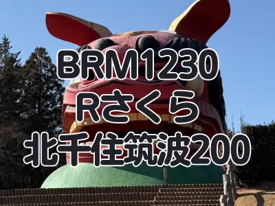 【ブルべ】BRM1230Rさくら北千住・筑波200を完走しました　その１